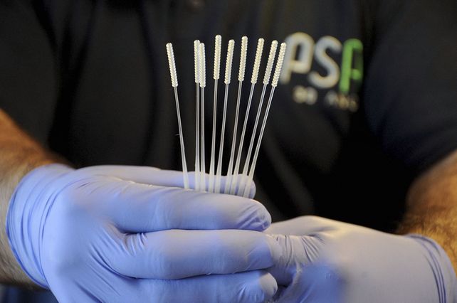 Crearon el primer hisopo nasofaríngeo nacional para test PCR
