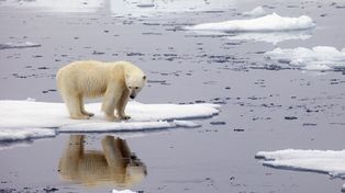 Los 38º registrados en Verkhoyansk constituyen la mayor temperatura alcanzada por encima del círculo polar ártico, indicó la OMM.