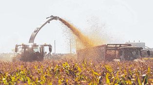 El campo argentino avanza firme hacia la agricultura regenerativa