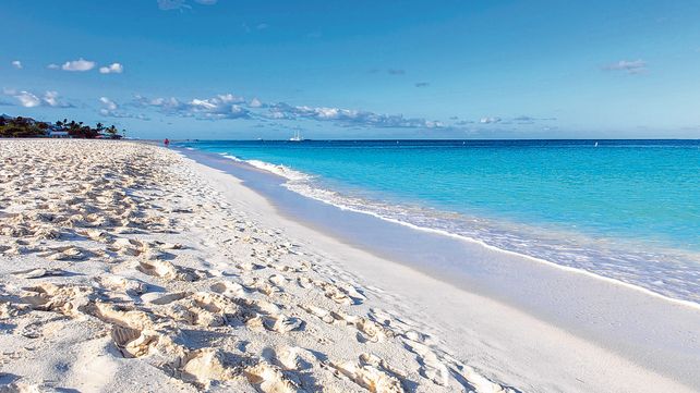 Sabes de donde proviene la arena blanca de las playas tropicales?