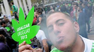 Uruguay y los desafíos de ser el primer país en el mundo en legalizar la marihuana