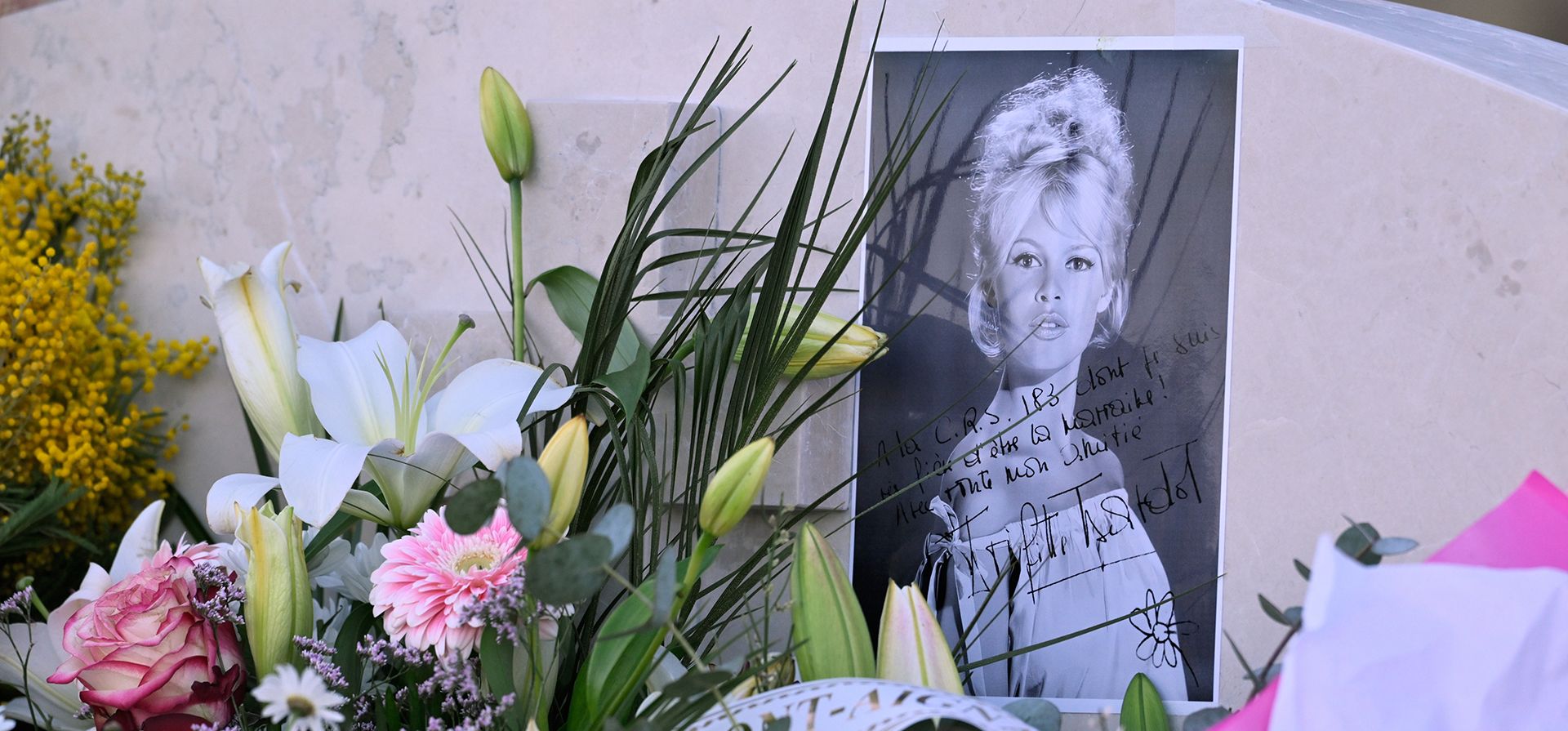 Una fotografía de la actriz Brigitte Bardot se ve en su tumba, el miércoles 7 de enero de 2026, en el cementerio de Saint-Tropez, en el sur de Francia. (Foto AP/Philippe Magoni) Una fotografía de la actriz Brigitte Bardot se ve en su tumba, el miércoles 7 de enero de 2026, en el cementerio de Saint-Tropez, en el sur de Francia. (Foto AP/Philippe Magoni)