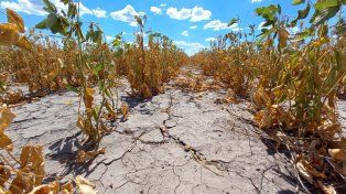 Emergencia agropecuaria