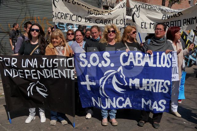 SOS Caballos reclamó frente a los Tribunales