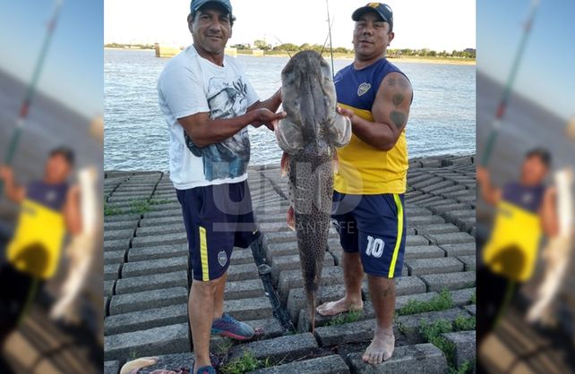 El surubí gigante que pescaron en la laguna Setúbal