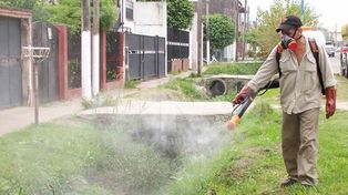 El Gobierno de la Ciudad continúa con el plan de fumigaciones durante esta semana