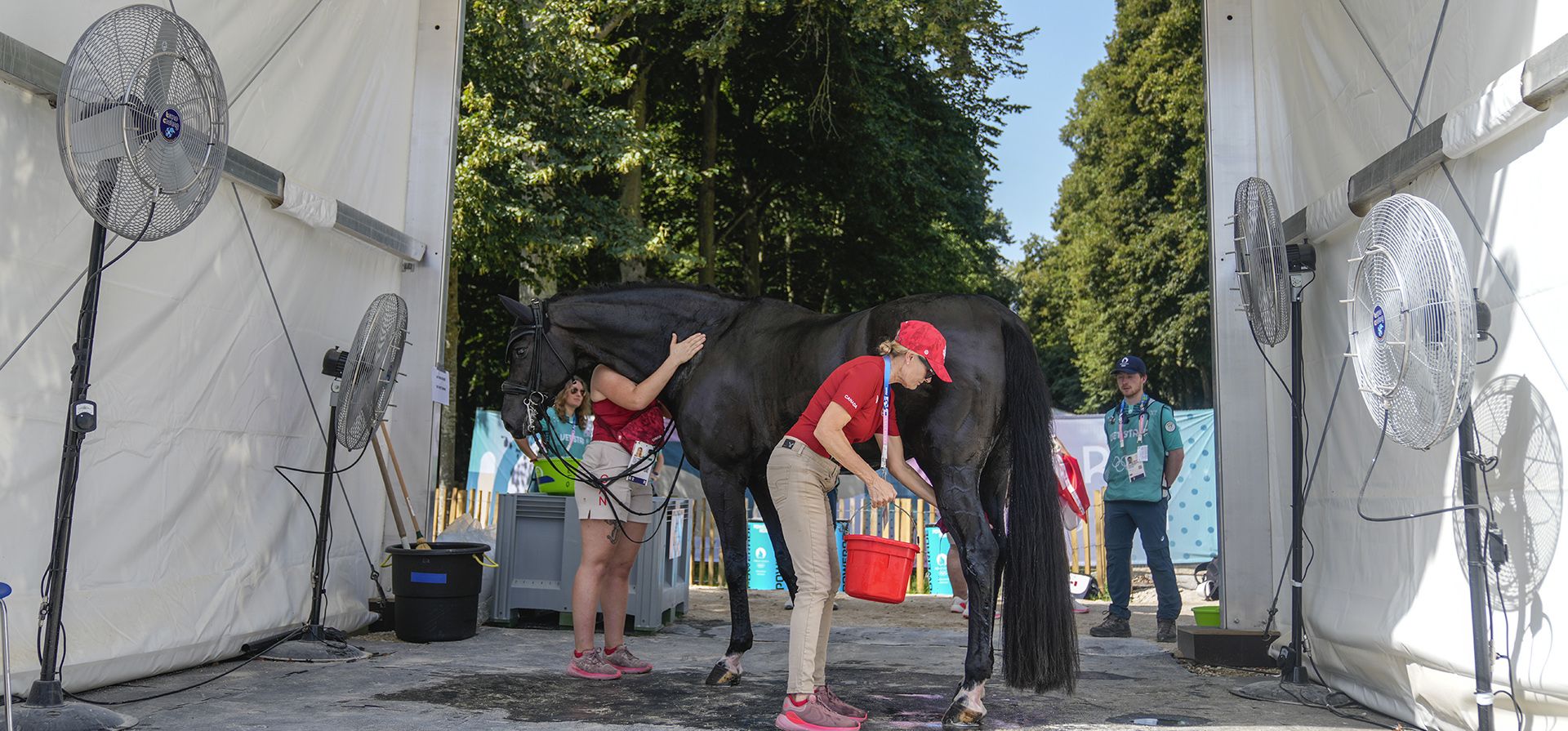 El caballo canadiense Statesman se refresca después de competir en la competencia de doma ecuestre en los Juegos Olímpicos de Verano de 2024, el martes 30 de julio de 2024, en Versalles, Francia. (Foto AP/Mosaab Elshamy) El caballo canadiense Statesman se refresca después de competir en la competencia de doma ecuestre en los Juegos Olímpicos de Verano de 2024, el martes 30 de julio de 2024, en Versalles, Francia. (Foto AP/Mosaab Elshamy)