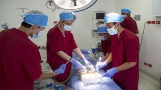 Debaten un marco legal para controlar los productos médicos