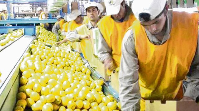 Coninagro busca fortalecer a las pymes agropecuarias.
