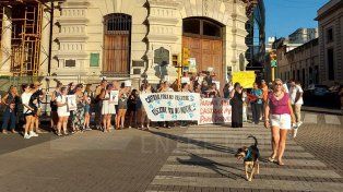 Paraná: proteccionistas denuncian que se castró menos de la mitad de animales pactados