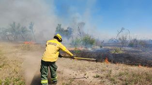 Brigadistas realizan tareas para evitar que se propaguen las llamas en la isla Sabino Corsi.