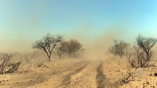Fenómenos climáticos de 2013, producto del calentamiento global