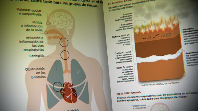 Efectos de las quemas de pastizales