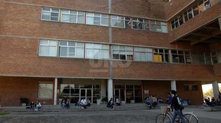 Se autorizaron exámenes presenciales en las Escuela de Música y Veterinaria