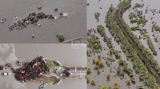 En los Bajos Submeridionales, productores llevan meses enfrentando el exceso hídrico y buscan evitar que sus animales queden aislados