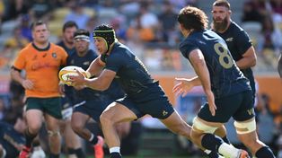 Rugby Championship: Pumas y Wallabies tienen todo listo para  la revancha en Sidney