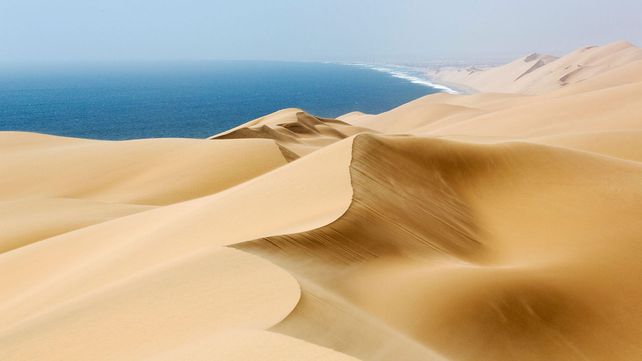 Imágenes ganadoras del premio Fotógrafo de Vida Silvestre 2018