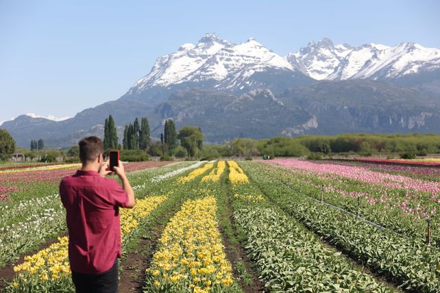 La zona de los Andes del Sur
