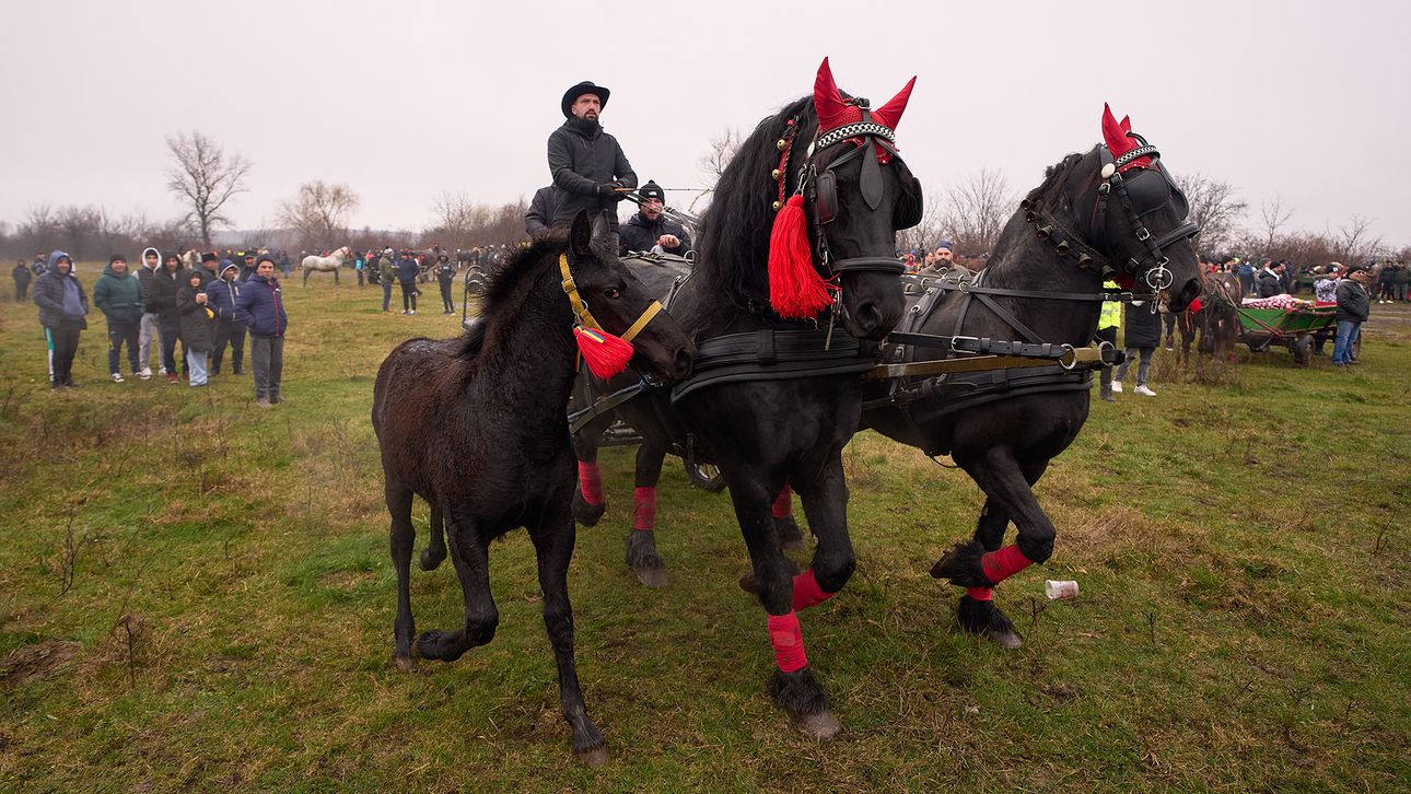 El día en imágenes alrededor del mundo