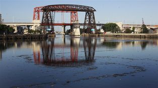 Plantan miles de árboles autóctonos en la ribera del Riachuelo