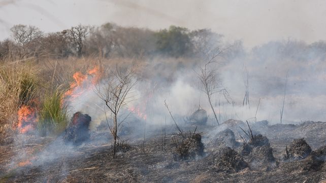 Los incendios en la zonas de islas frente a Rosario provocaron daños irreparables en el humedal.