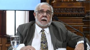El senador de La Libertad Avanza, Juan Carlos Pagotto, generó polémica al proponer que no se debe penalizar a familias que entreguen a sus hijos