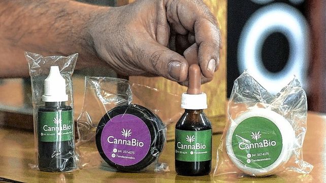 El Senado aprobó el marco regulatorio de producción de cannabis medicinal y fue girada a la Cámara de Diputados para su revisión. El proyecto de ley establece un marco regulatorio de la cadena de producción