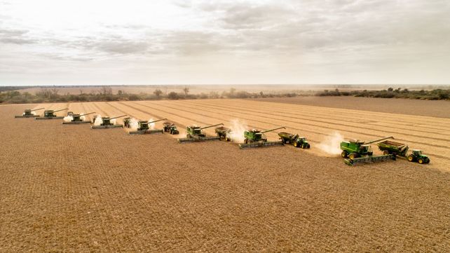 La firma tucumana cuenta con 20.000 hectáreas de producción propia.