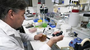 Innovación y soluciones. La ciencia básica se acerca cada vez más a los pacientes&nbsp;