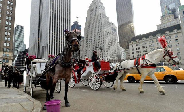 Fin de un ícono turístico de Nueva York: prohibirán los carruajes tirados por caballos