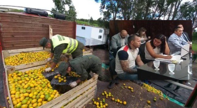 El cargamento de droga iba oculto entre un cargamento de mandarinas.