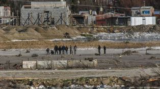 Chubut: Perros salvajes destrozan y comen a un hombre