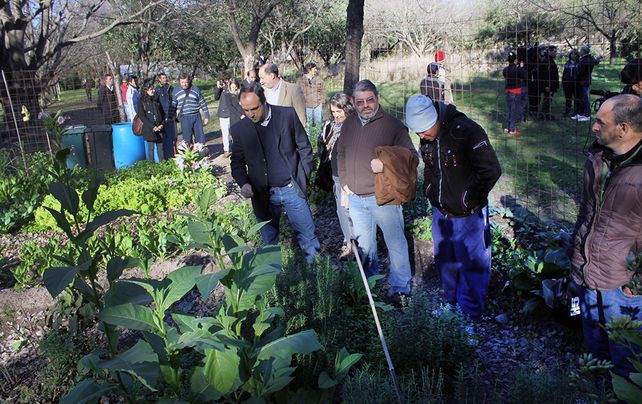 Huertas urbanas: comenzó un curso para personas con discapacidad