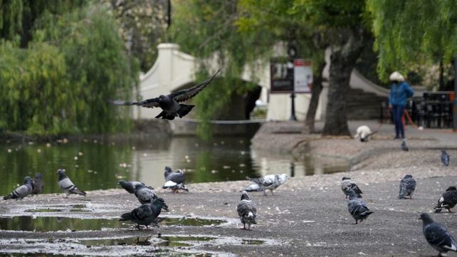 El frío da tregua en un domingo con una temperatura agradable