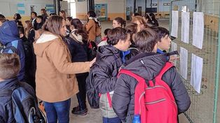 Problemas. Las pruebas intentan hacer razonar a los chicos para encontrar la solución.