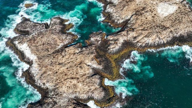 La zona de islas donde trabaja el Proyecto Patagonia Azul deRewilding Argentina