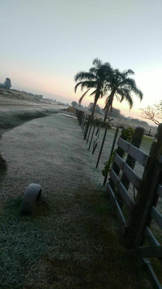 Foto de la helada en Recreo