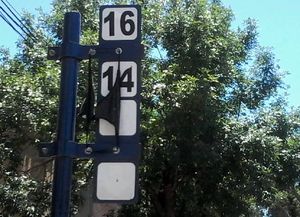 Insólito hallazgo en una esquina santafesina