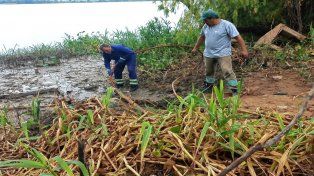 Por la falta de presión de agua, Assa y la Municipalidad inspeccionaron la planta potabilizadora y solucionaron el inconveniente