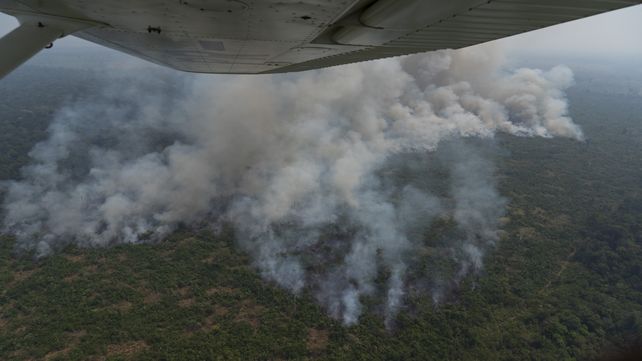 El fuego consume un área de bosque cercana a Porto Velho. La deforestación a lo largo del año avanzó sobre unas 900 mil hectáreas.