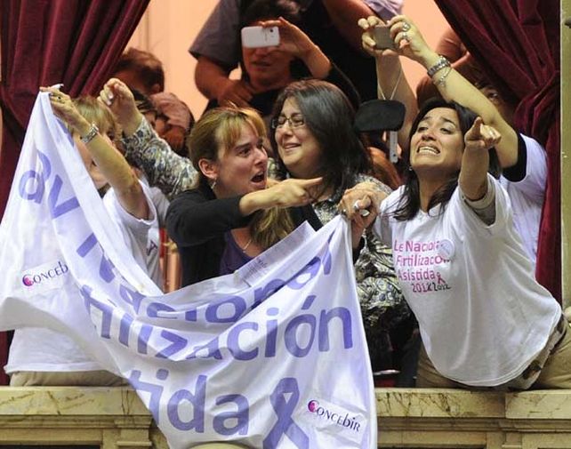 La sanción de la ley fue seguida ayer por organizaciones civiles y sociales.