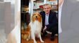 Murió Dylan, el perro de Alberto Fernández: la despedida en redes del ex Presidente