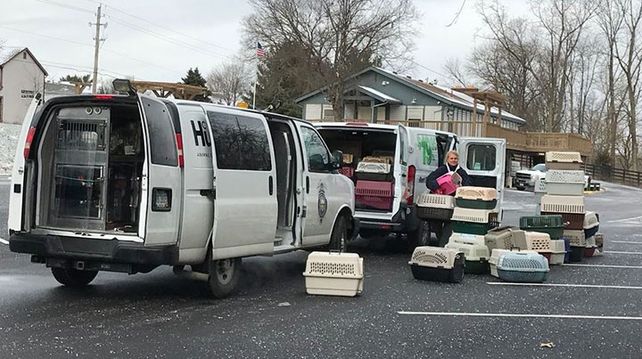 Vivía con 166 gatos vivos y otros 55 muertos