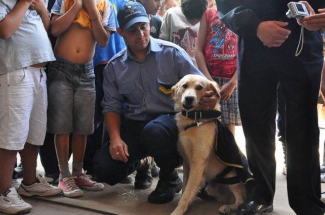 Echan a un jefe policial por prohibir perros y gatos Echan a un jefe policial por prohibir perros y gatos