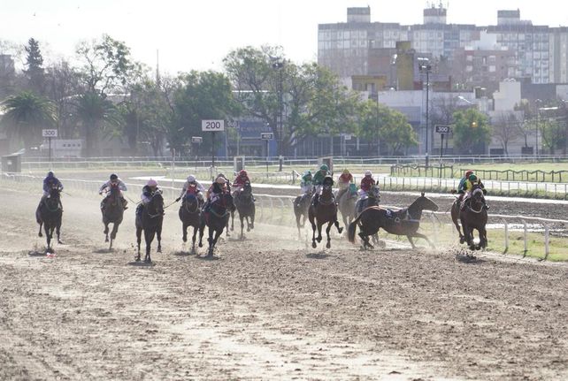 Hipódromo Independencia: un caballo corrió en dirección contraria y casi provoca un desastre