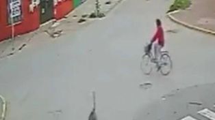 Video: un ñandú atropelló a una mujer que paseaba en bicicleta