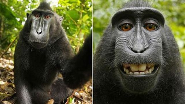 Se resolvió el conflicto de la foto más polémica de Wikipedia
