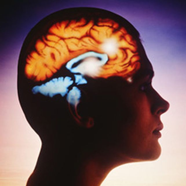 La l&iacute;nea que separa el odio del amor tambi&eacute;n es delgada en el cerebro