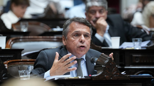 Giuliano advirtió que el fallo de la Corte sobre la ley de tierras es un freno es provisorio