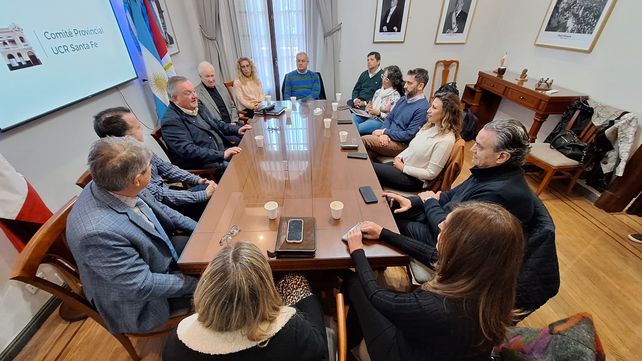 Radicales y socialistas ya delinearon sus aportes al plan reformista de Unidos.